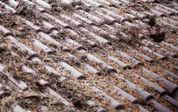 Wall Nook roof cleaning companies